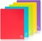 5 Pieces Flexible Plastic Cutting Board Mats with Food Icons, BPA Free Cutting Boards for Kitchen, Non Slip Cutting Mat for Meat and Vegetables (Red, Bright Yellow, Light Green, Purple, Lake Blue)